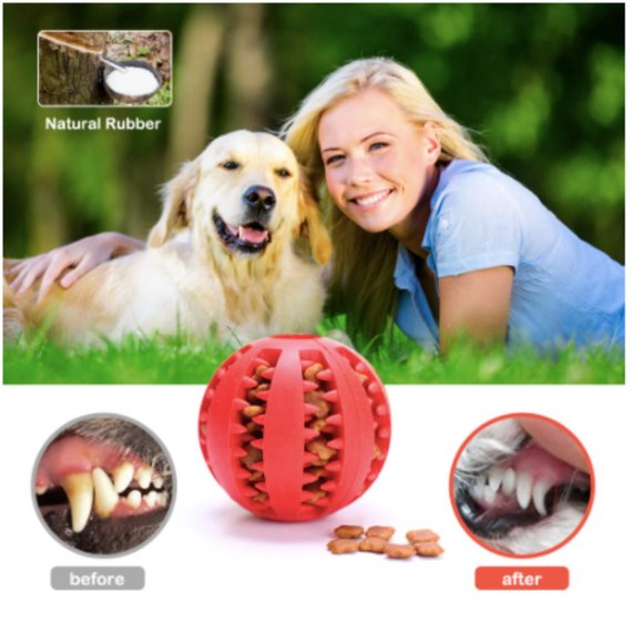 New 1 Pet Toy interactive Great for hours of fun Small - Picture 9 of 11